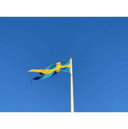 Svensk rlogsflagga
