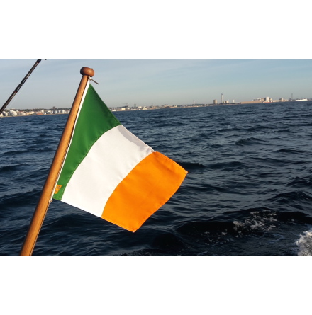 Irlands Flagga